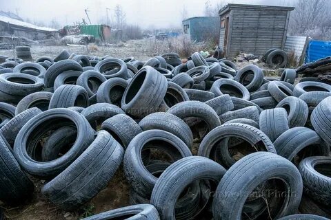 Дев бу