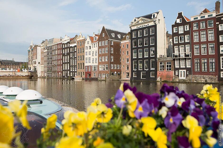 голландия нидерланды зима. голландия климат. нидерланды дождь. нидерланды погода. делфт люди.