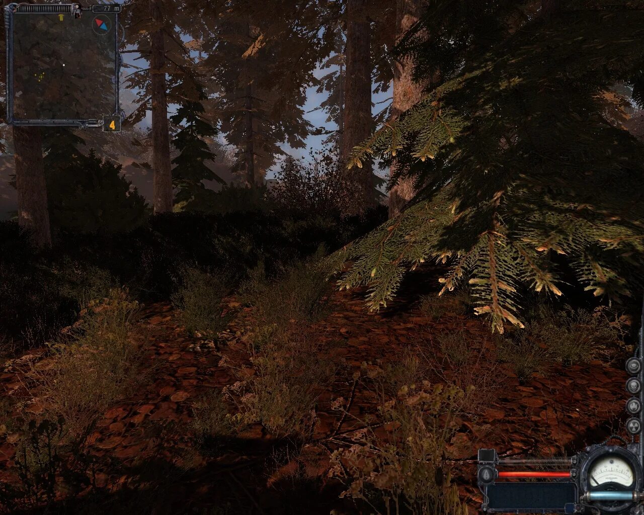 Рыжий лес сталкер. Сталкер чистое небо локация рыжий лес. Сталкер рыжий лес локация. Сталкер 2 лес. Сталкер чн рыжий лес.