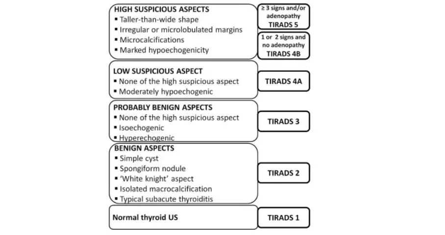 Eu tirads. Tirads классификация. ACR Tirads таблица. Ti rads классификация. Тирадс 2.