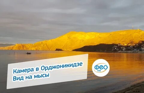 Феонет