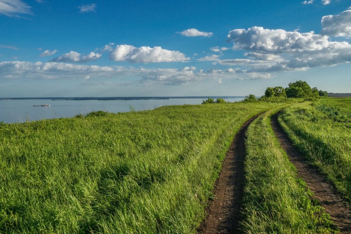 Усадьба подушкинского лесопарка. Эко тропа королевский бор. Парк сокольники тропинки дорожки. Экотропа лесная тропа. Парк ольгино лесопарк.