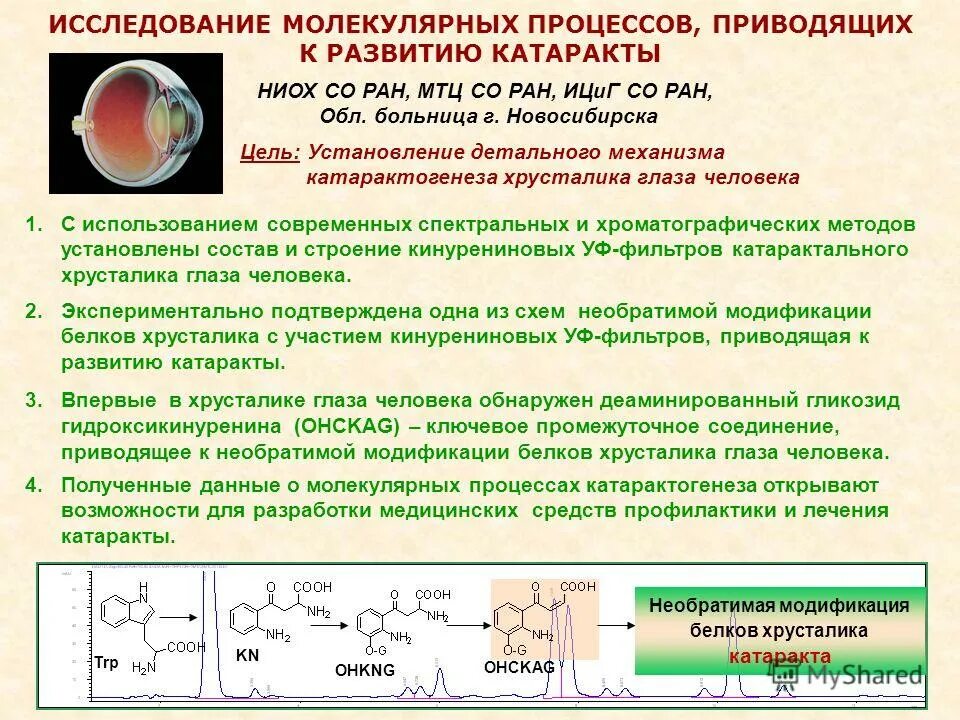 Развитие патологических процессов в организме. Природные факторы опустынивания. Модификации необратимы. Модификации необратимы. Виды фенотипической изменчивости.