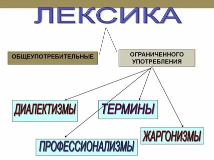 Профессионализмы диалектизмы жаргонизмы 6 класс презентация
