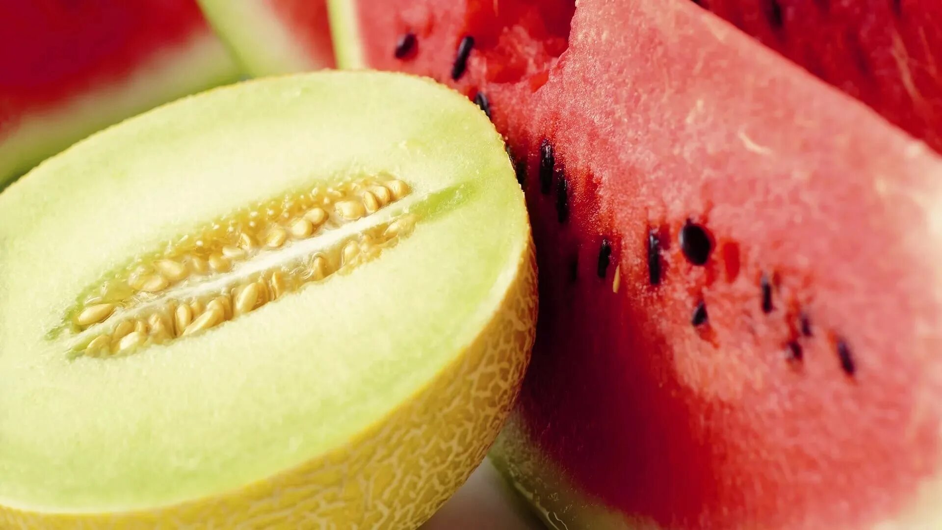 Melon vs melon. Melon vs melon