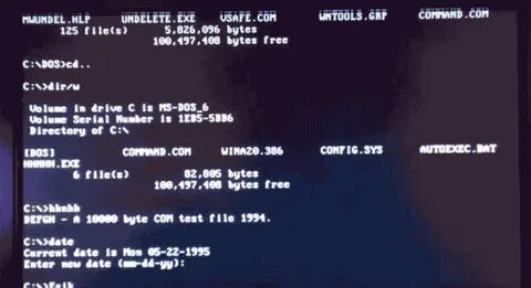 Virus dos