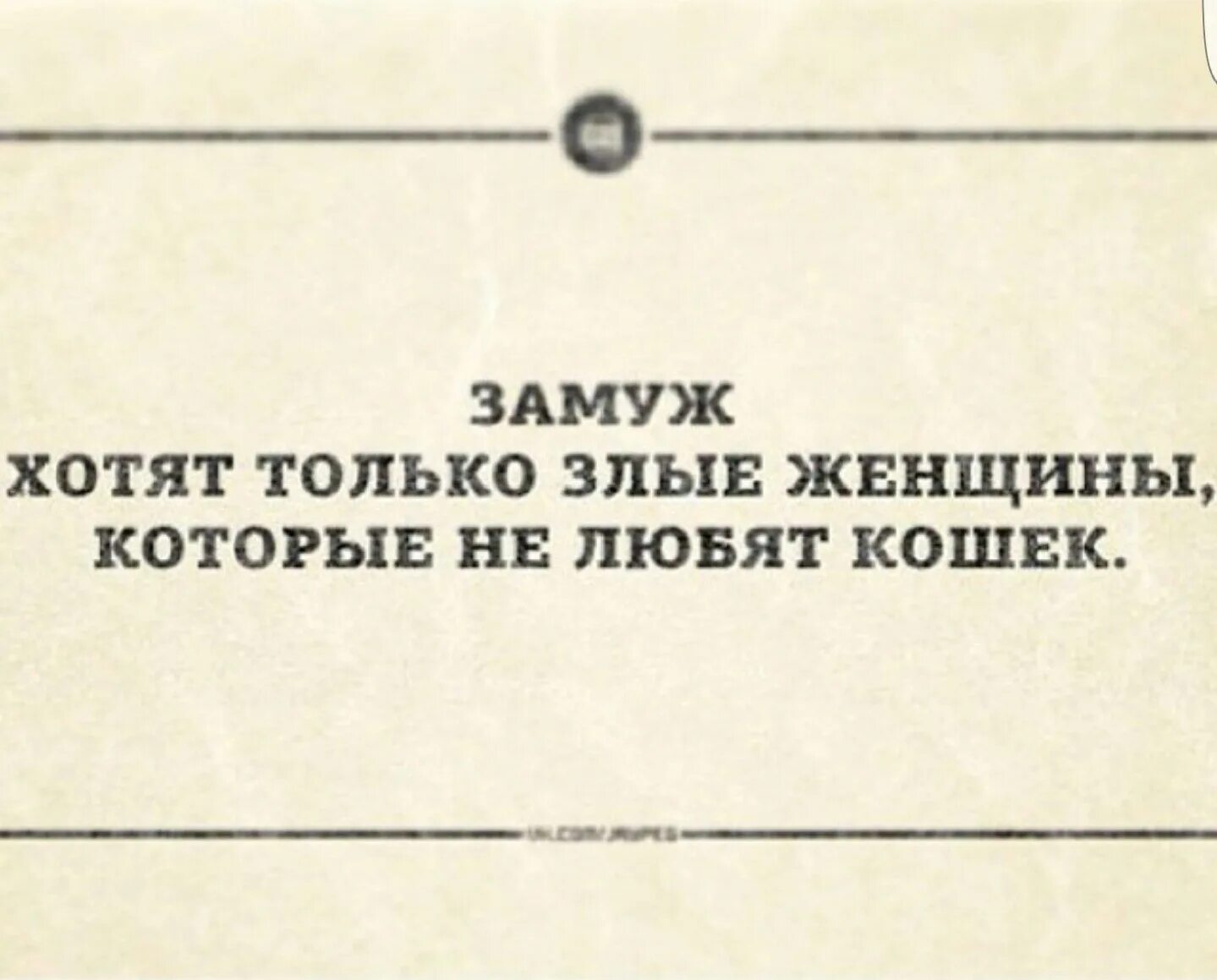 Фраза не хочу учиться хочу жениться. Замуж хотят только злые женщины которые не любят. только злые женщины которые не любят кошек. замуж хотят только злые женщины которые не любят кошек. не хочу учиться хочу замуж.