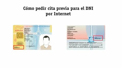 Что такое dni