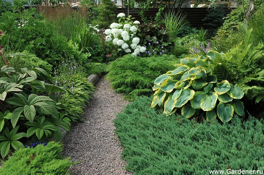 Сад Марковских Ландшафтный дизайн садов и парков Cottage garden, Garden guide, F