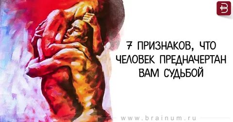 Твой человек судьба