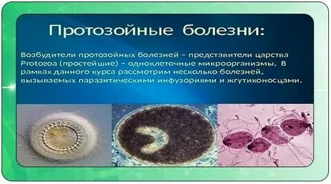 Инфекция вызванная простейшими