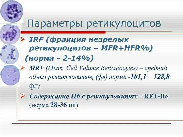 Норма ретикулоцитов у детей. Норма ретикулоцитов у детей