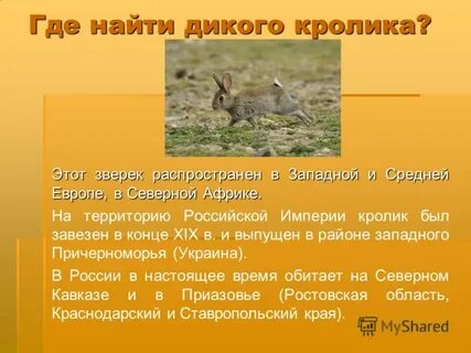 Откуда прибыл