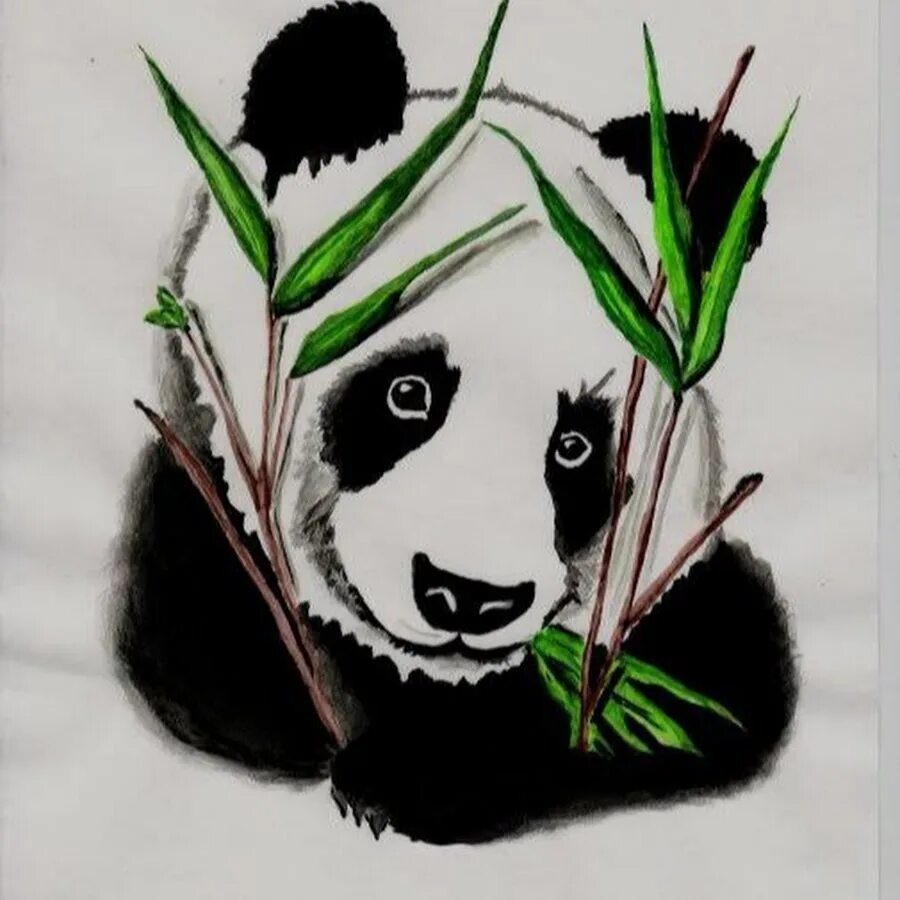 Панда собирает в круг. Панда эскиз. Панда с бамбуком для срисовки. Панда зарисовка. Нарисовать панду с бамбуком.