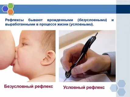 Безусловный рефлекс приобретается в процессе жизни