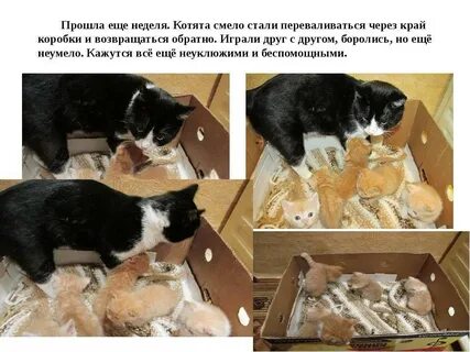 Почему недельные
