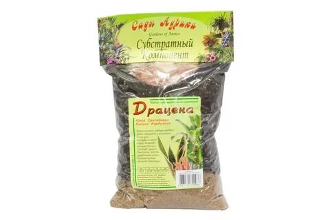 Почва для драцены