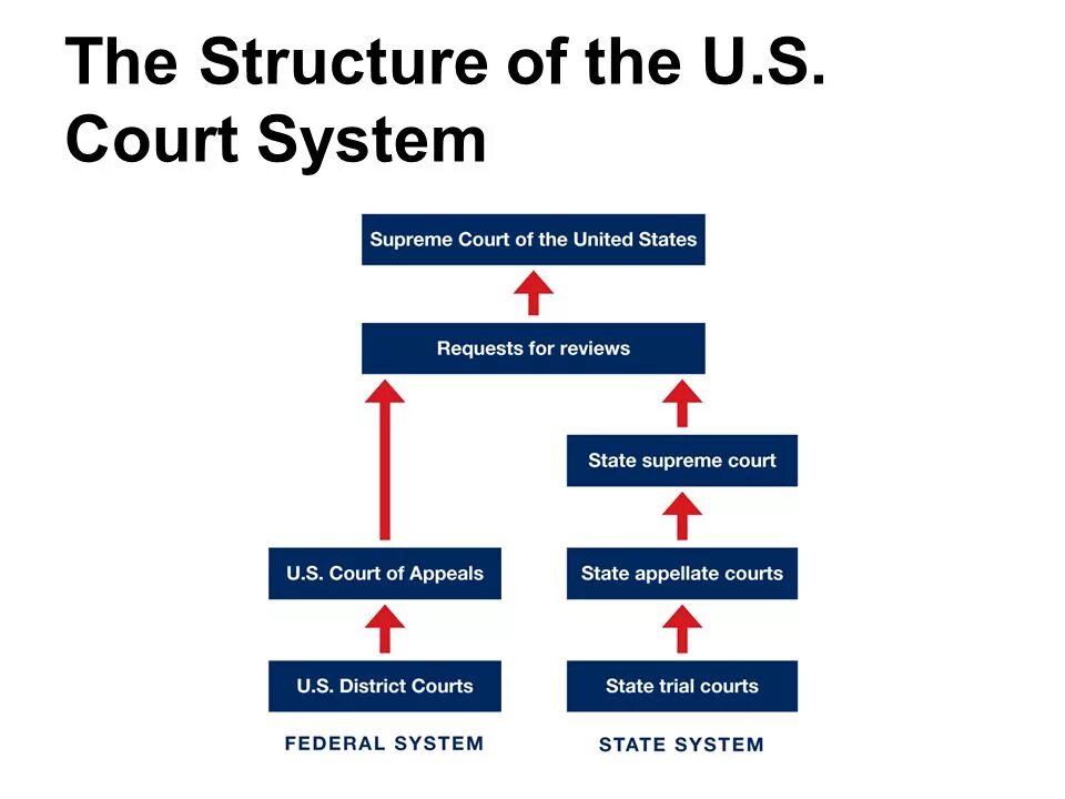 Federal Court System in the USA. American Court System. Structure of the State Court System. Judicial System of the USA.