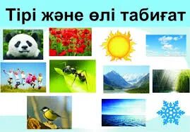 Қазір онсыз жыныстық қатынас