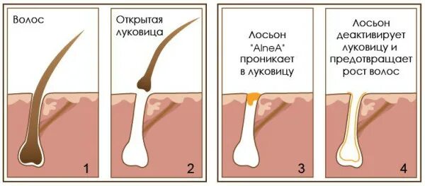 Помогает Ли Сперма В Росте Волос