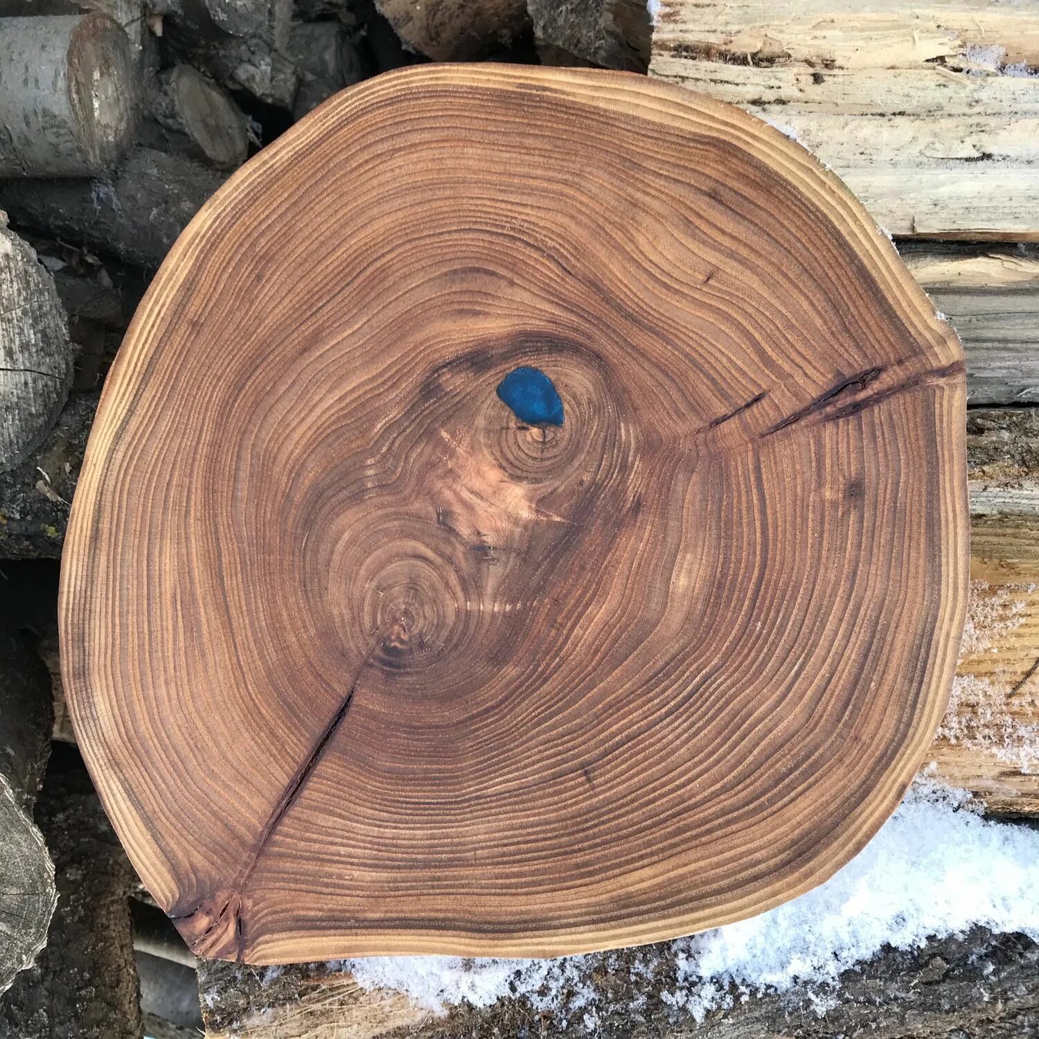 раститетельная клетка микроскоп. ильм вяз карагач спил. микропрепараты клеток растений под микроскопом. тик родезийский. срез выглядит.