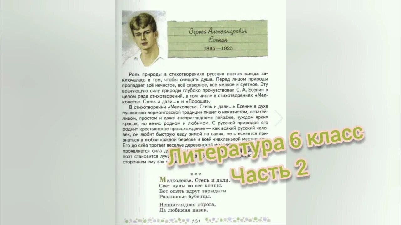 Мелколесье степь и дали Есенин. Стихотворение Есенина мелколесье степь и дали. Анализ мелколесье степь и дали 6 класс