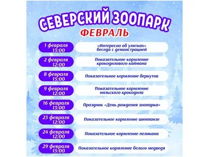 Зоопарк 11 февраля