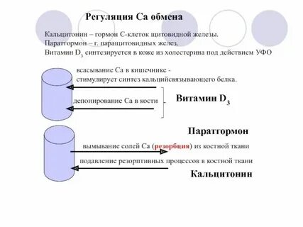 Кальцитонин является гормоном