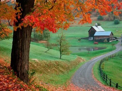 Country falls