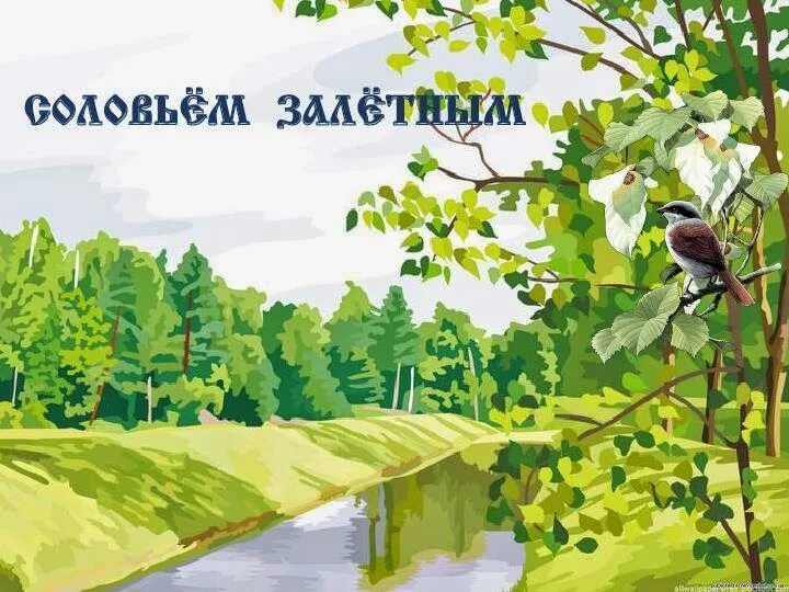 Тематика стихотворения песня соловья. Стихотворение Кольцова Соловей. Песня соловья рисунок. Иллюстрация поэзии Соловей Кольцов.