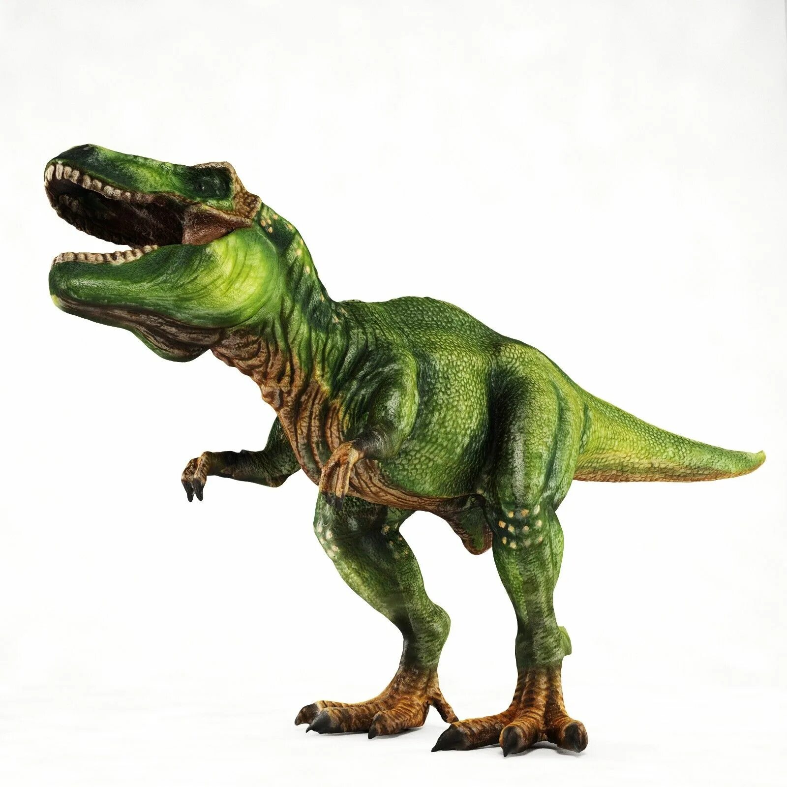Тиранозавр рекс. Тираннозавр Тирекс зелёный. Динозаврик Тираннозавр рекс. Динозавры на белом фоне.