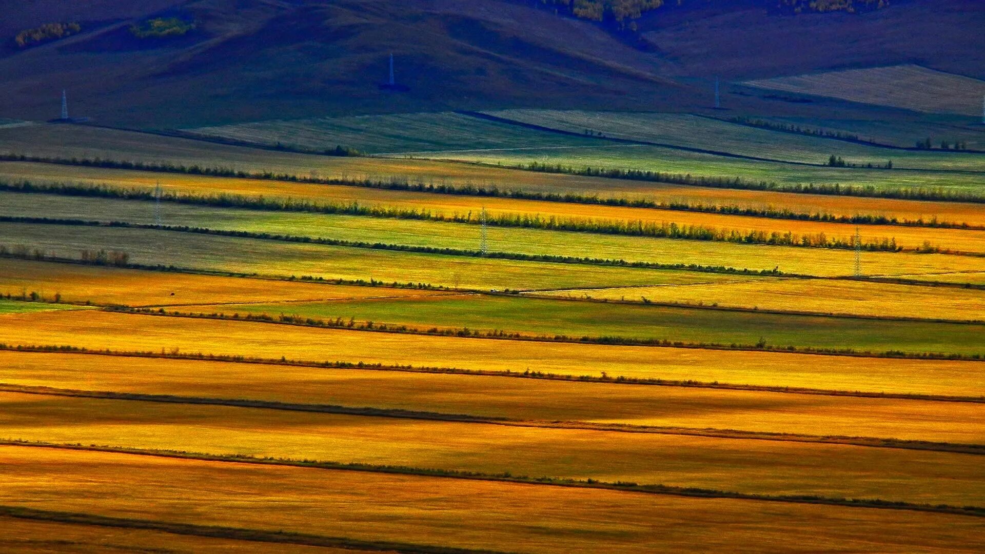 Www bing com image. Прерия Хулунбуир. Хулунбуирская степь КНР. Монголия пейзажи. Внутренняя Монголия.