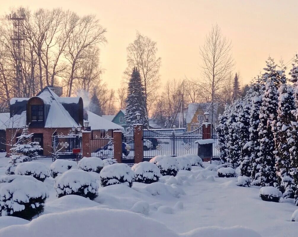 прогноз в новом токсово