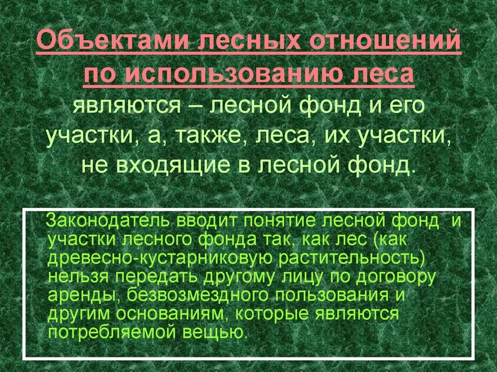 Использование лесного фонда. Объекты лесных отношений. понятие земель лесного фонда. объекты лесного фонда. лесной фонд.