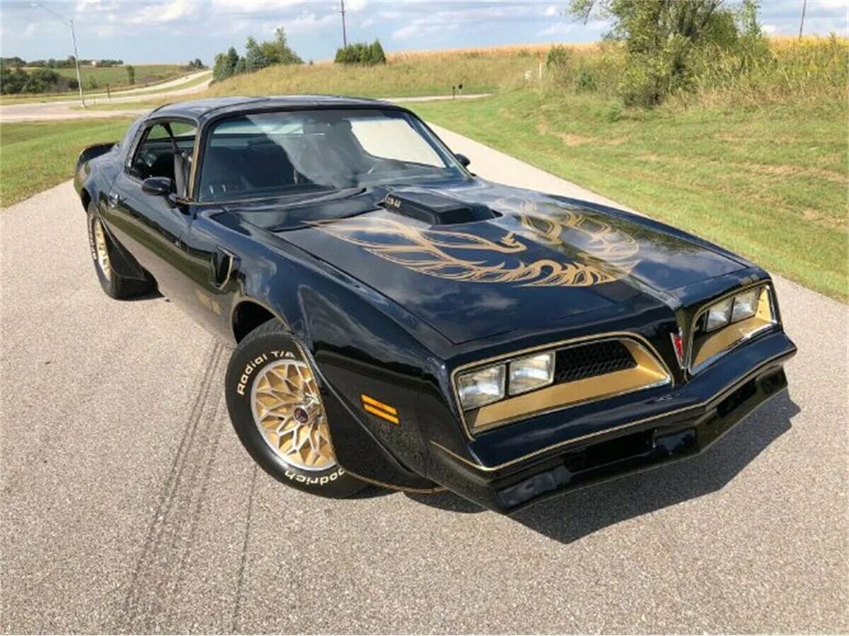 Машина phoenix. Понтиак файрберд. Понтиак файрберд. Pontiac firebird 1979. Понтиак феникс.