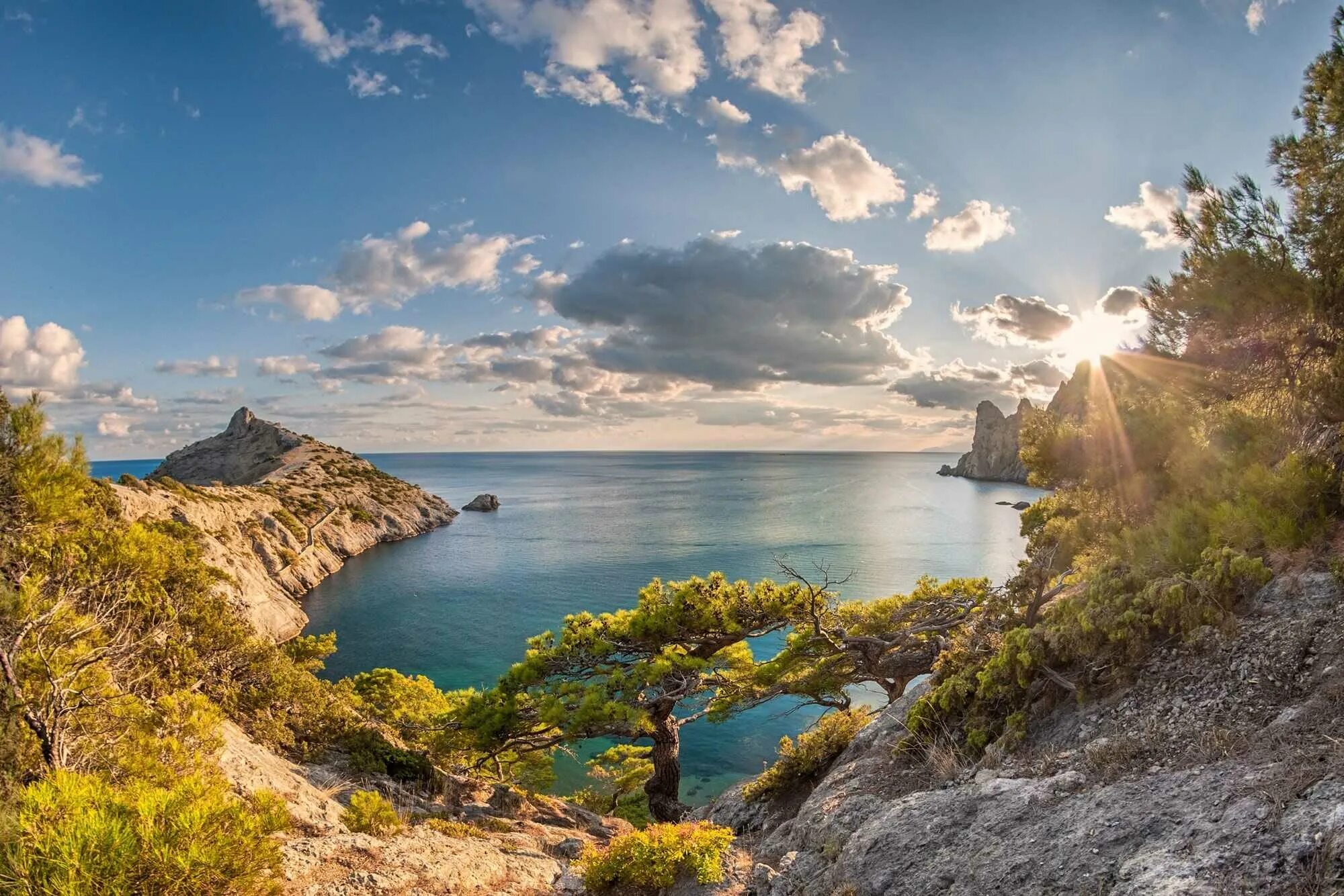 Солнечные дни в крыму. Мыс Фиолент маки. Новый свет Крым. Крымский полуостров природа Ялта. Голубая бухта с царским пляжем.