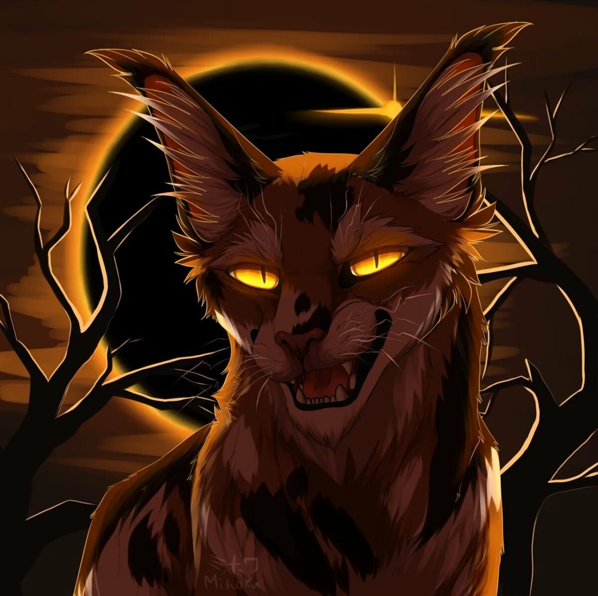Кот сол. Коты воители сол. сол коты воители арт. бич кот сол воители. коты воители горностайка.