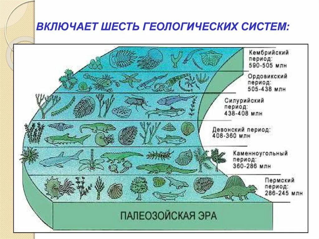 Семинар происхождение и развитие жизни на земле. Этапы развития жизни на земле. Палеозой схема. Развитие жизни на змел. Схема развития жизни.