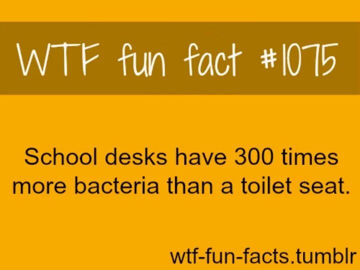 Facts only. Fun facts. WTF funny. Funny interesting facts.