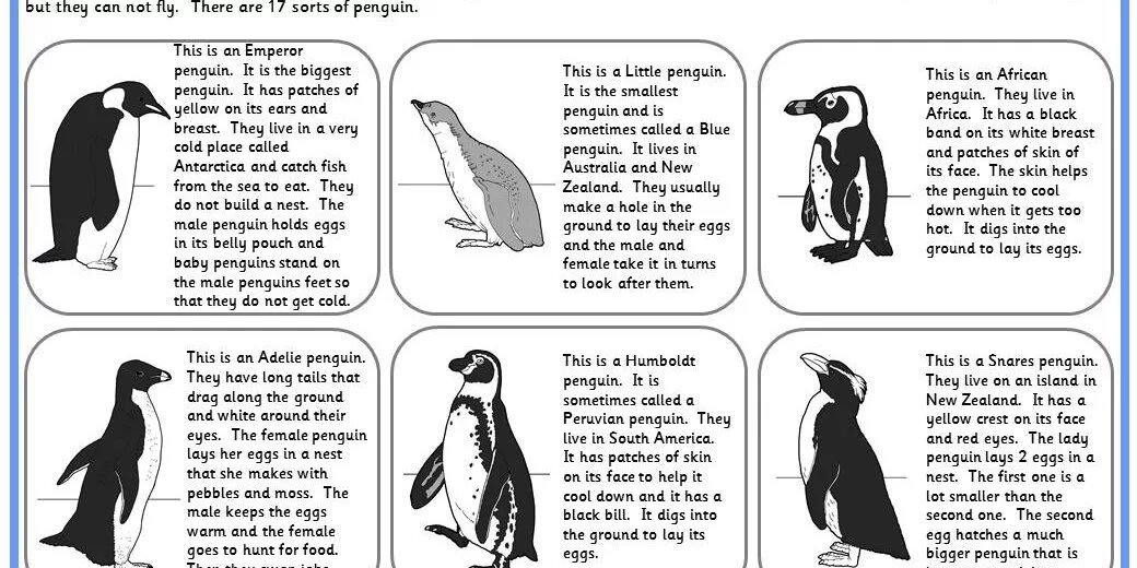 Penguin транскрипция