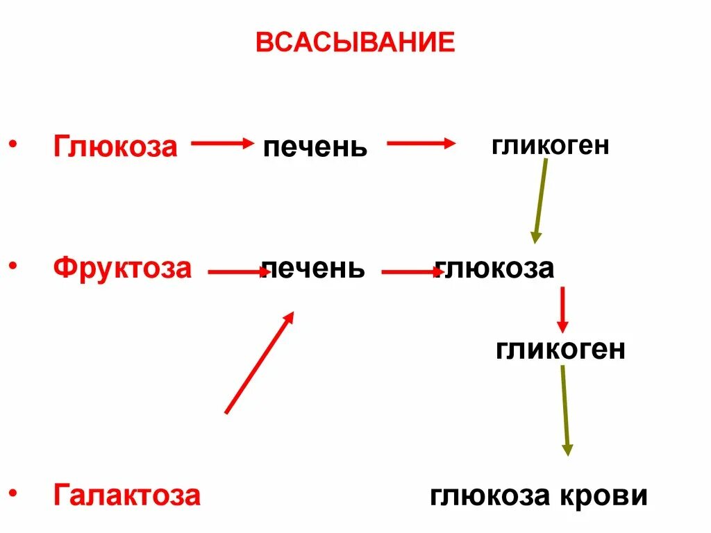 Всасывание Глюкозы. Всасывание Глюкозы в кровь. Глюкоза фруктоза галактоза гликоген. Схема всасывания Глюкозы в кровь. Нарушения фруктозы