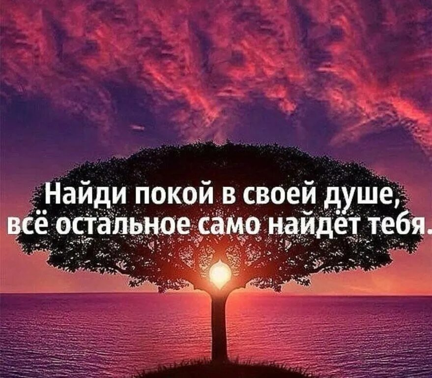 Открыткаолушевном спокойствии. Фотосессия в лодке. Про душу человека высказывания. Спокойствие цитаты. Разговоры по душам цитаты.