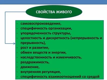 Что является важным свойством любой живой системы