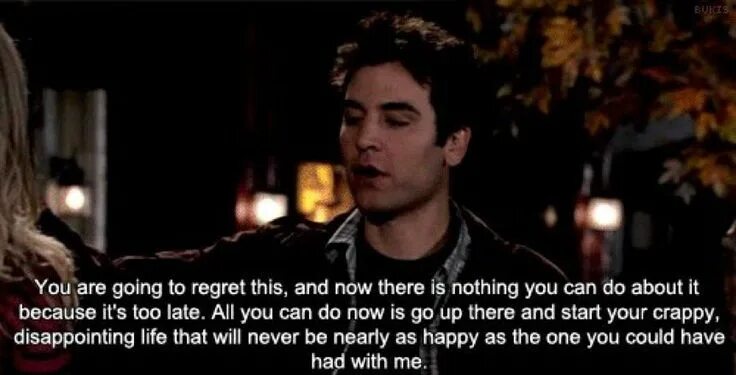 You can meet me you like. Ted Mosby quotes. To regret. HIMYM. Regret и disappoint.