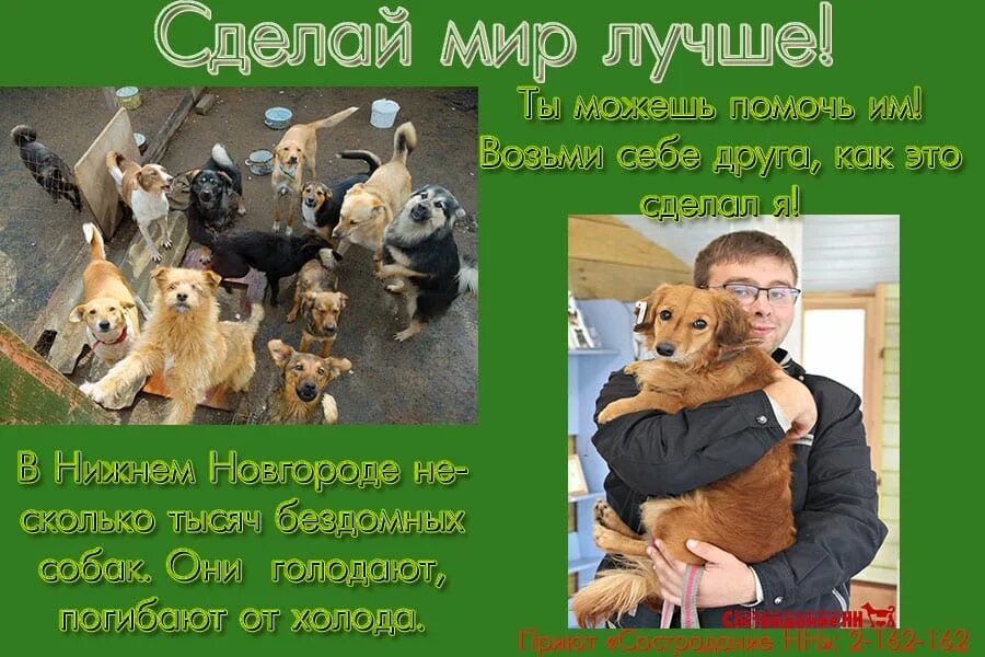 Страница 2755 - Интернет-проект "МЫ ВМЕСТЕ"