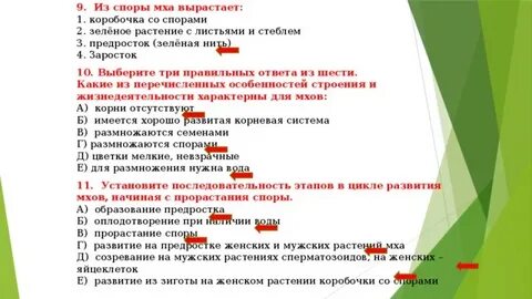 Что вырастает из споры