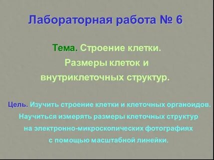 Лабораторная строение клеток