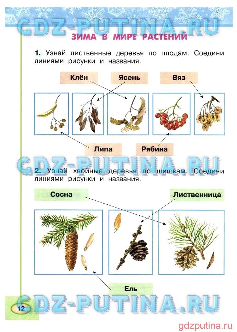 Окружающей 2 класс 1 часть ответы