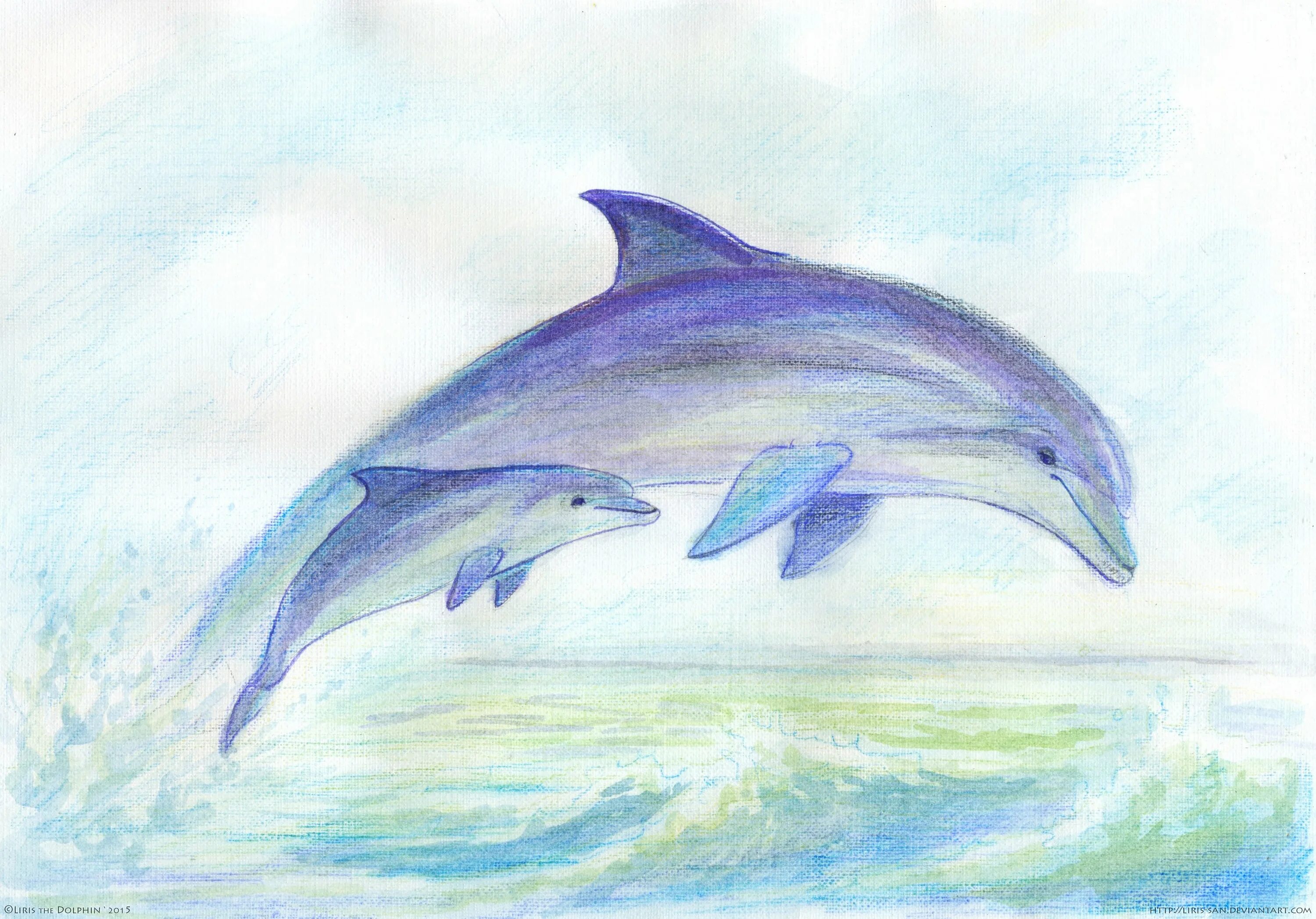Дельфин рисунок. Рисунки насвабодную тему. Красивый рисунок дельфина. Дельфин рисунок для срисовки.