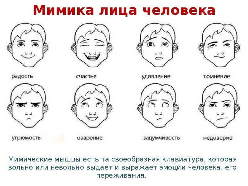 Мимика реферат. Невербальные средства коммуникации мимика. невербальная коммуникация мимика. мимика лица. эмоции схематическое изображение.